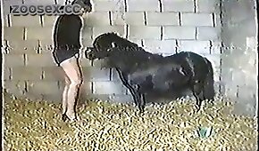 Video de boneca safada rebolando sua bunda - pónei,sexo de cachorro