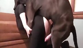 Video de boneca safada rebolando sua bunda - sexo de cachorro,sexo foda animal